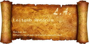 Leitgeb Antónia névjegykártya